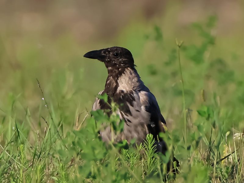 WhatsApp Image 2025-09-01 at 15.31.25 (2)