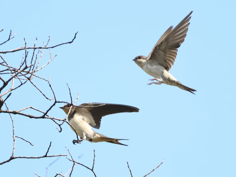 WhatsApp Image 2025-09-01 at 15.31.25 (3)