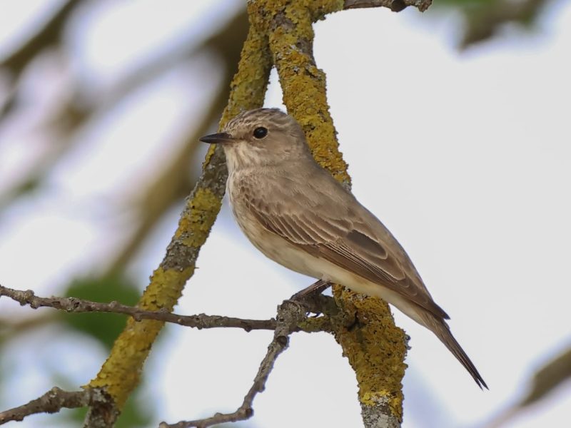 WhatsApp Image 2025-09-01 at 15.31.25 (4)