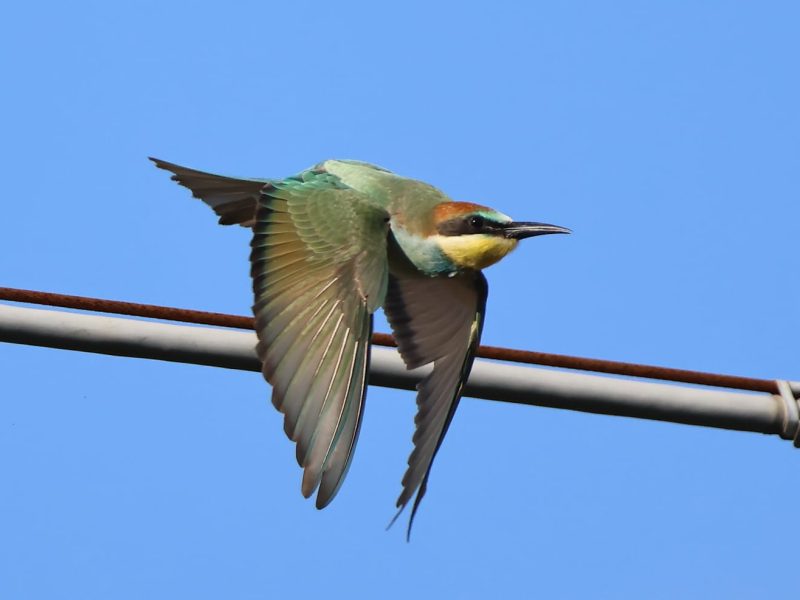 WhatsApp Image 2025-09-01 at 15.31.25 (5)