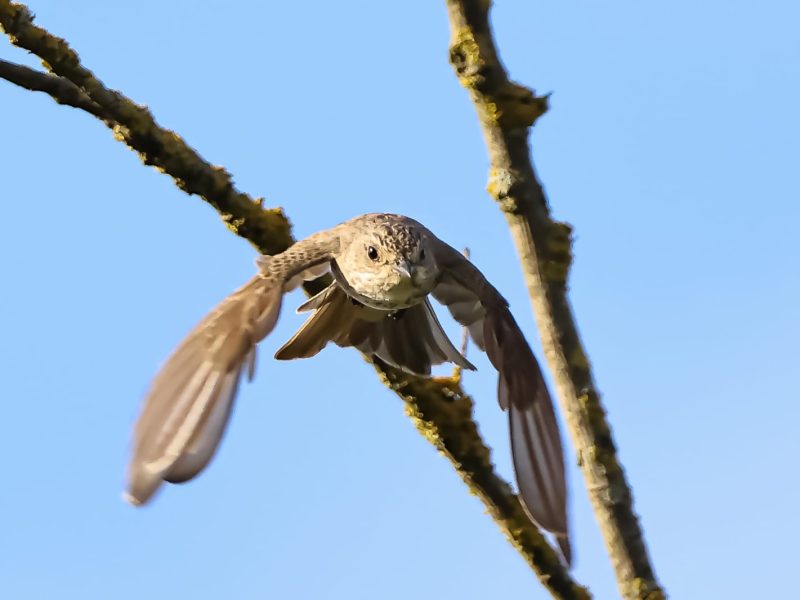 WhatsApp Image 2025-09-01 at 15.31.25 (6)