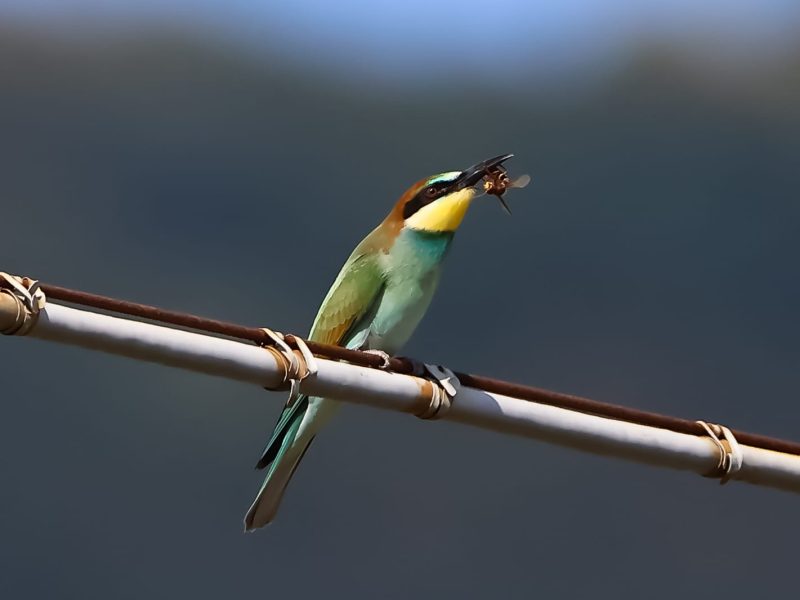 WhatsApp Image 2025-09-01 at 15.31.26 (1)