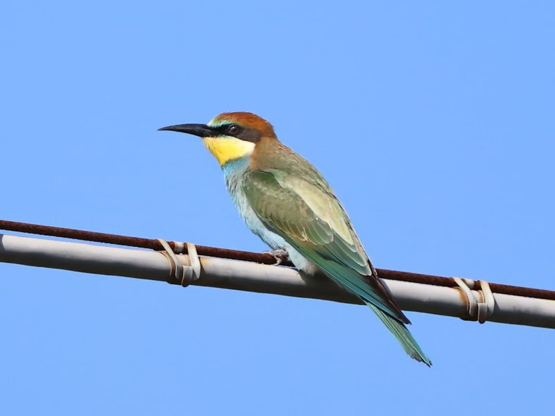 WhatsApp Image 2025-09-01 at 15.31.26 (2)